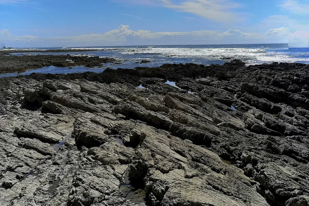 Puerto Viejo & Cahuita (South Caribbean)